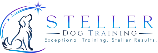 Steller Dog Training