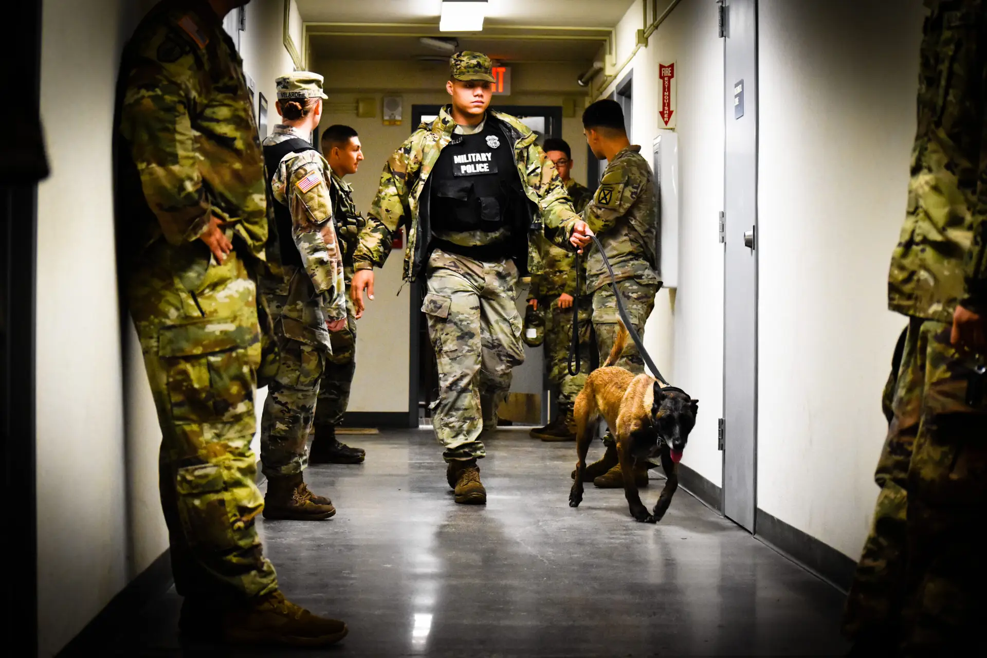 Jordan Marsteller Military Working Dog Handler bite work Egypt