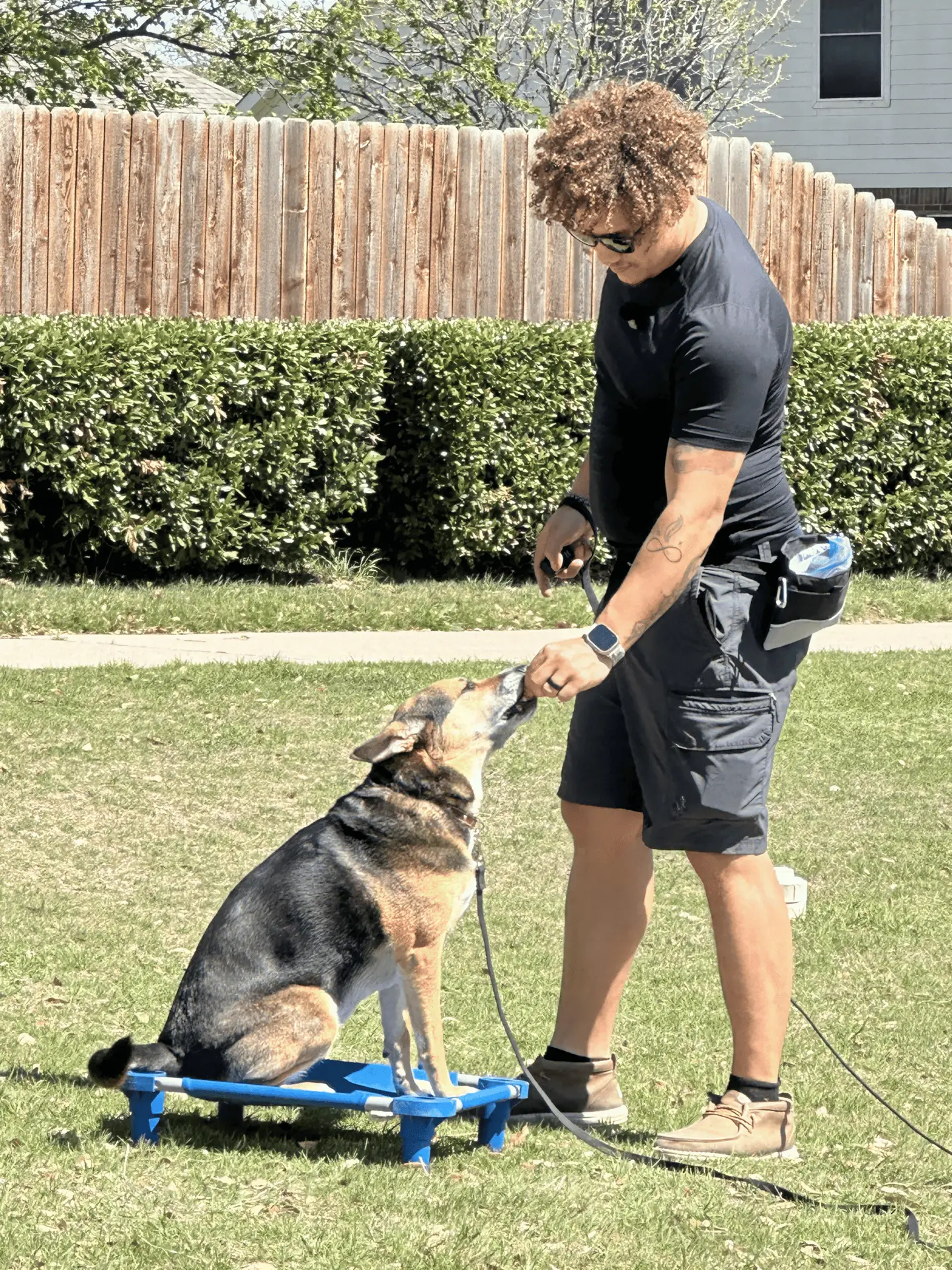 Jordan Marsteller of Steller Dog Training teaching place-cot skills to a German Shepherd at a Fort Worth home
