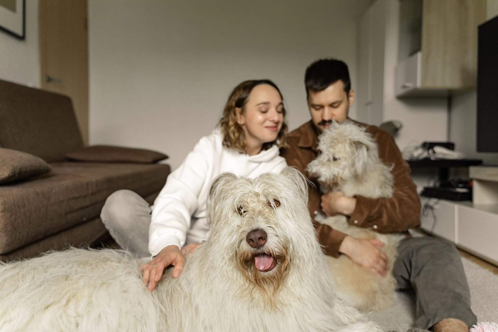 Couple sitting on the floor at home with two dogs