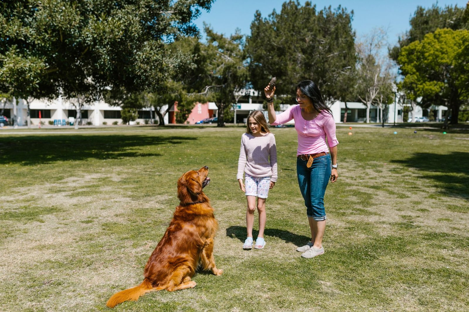 Family playing fetch with a golden retriever in a park
