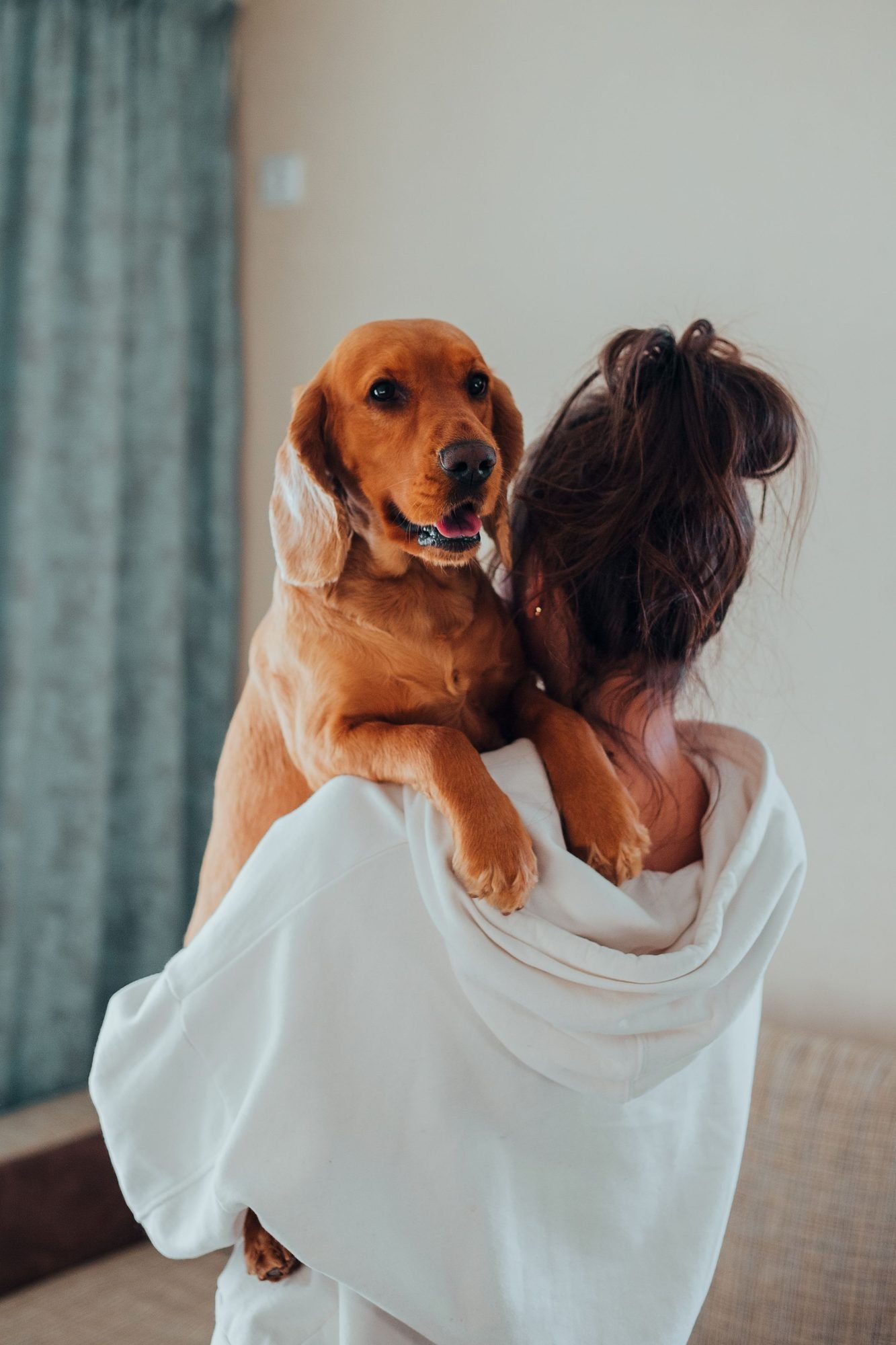 Pet parent hugging a labrador at home